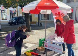 Den charity 2021 - prezentace služeb