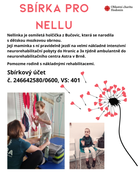 Přidat nadpis (2)