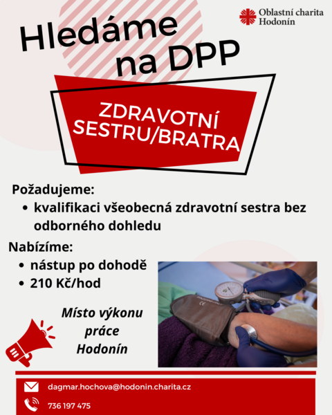 Hledáme sestru