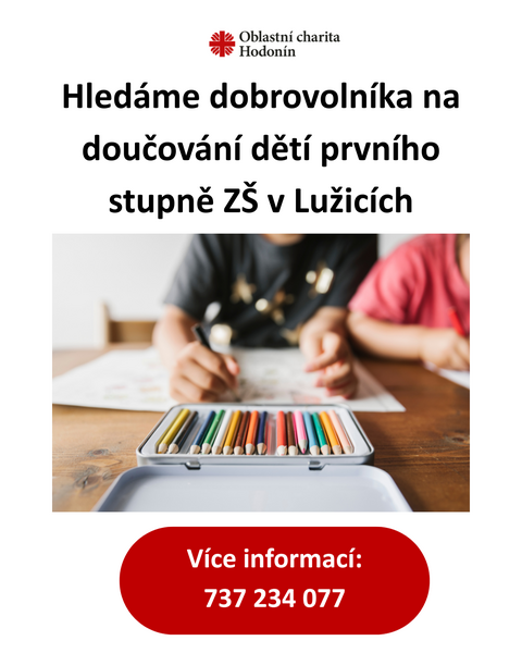 Dobrovolník doučování